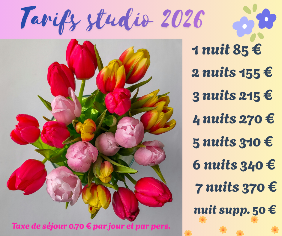 Tarifs studio