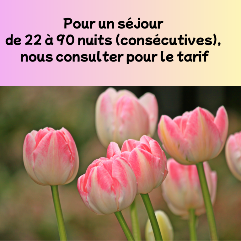 Tarifs studio longue durée (2)