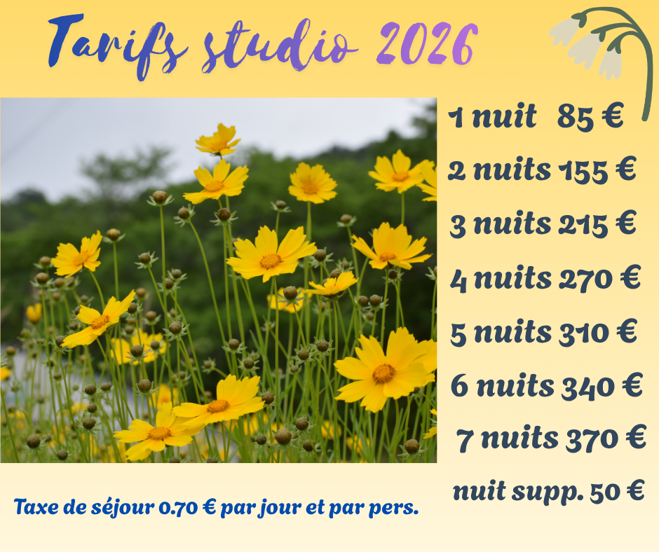Tarifs studio 2026(2)